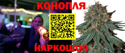 СК Кинель