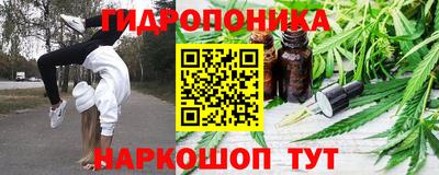 герыч Кингисепп